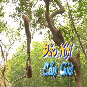 đảo khỉ cần giờ đảo khỉ cần giờ