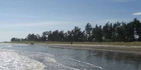 bãi biển bãi biển